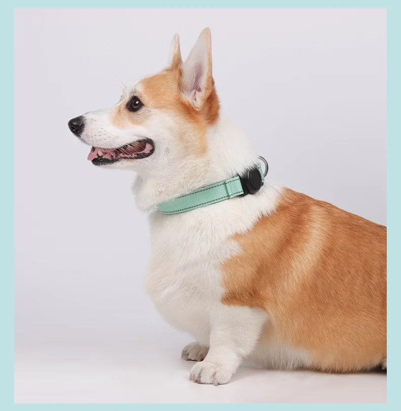 Heavy-Duty Dog Collar with AirTag Holder – Padded & Comfortable Adjustable Collar