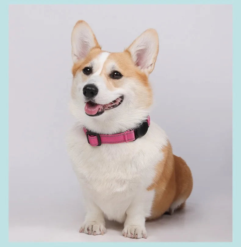 Heavy-Duty Dog Collar with AirTag Holder – Padded & Comfortable Adjustable Collar