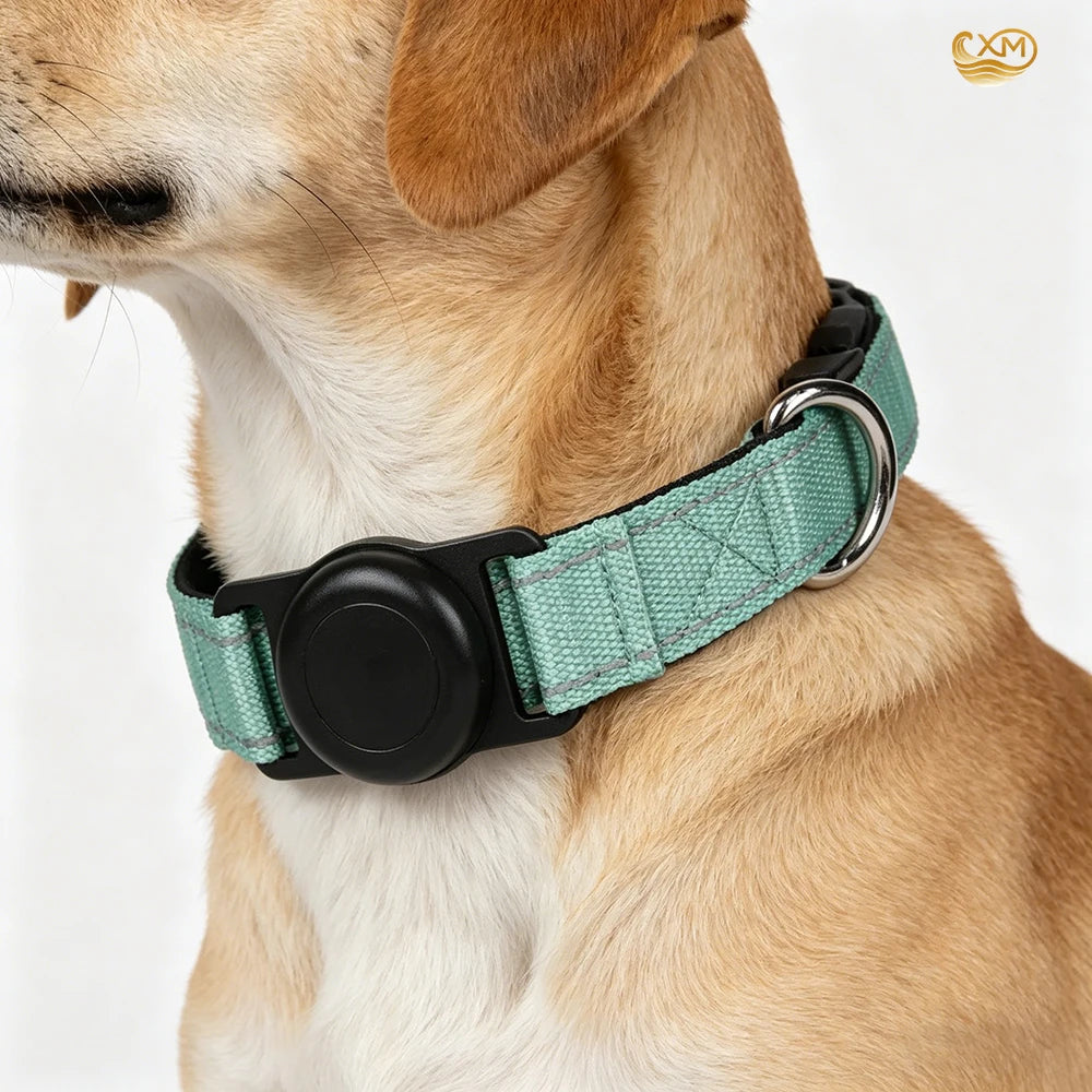 Heavy-Duty Dog Collar with AirTag Holder – Padded & Comfortable Adjustable Collar