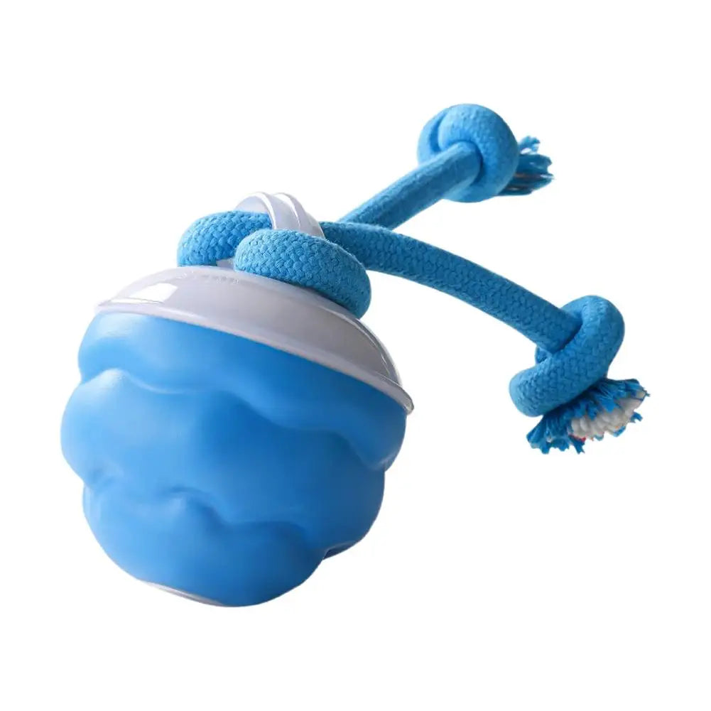 Interactive Motion-Activated Dog & Cat Toy Ball with Rope