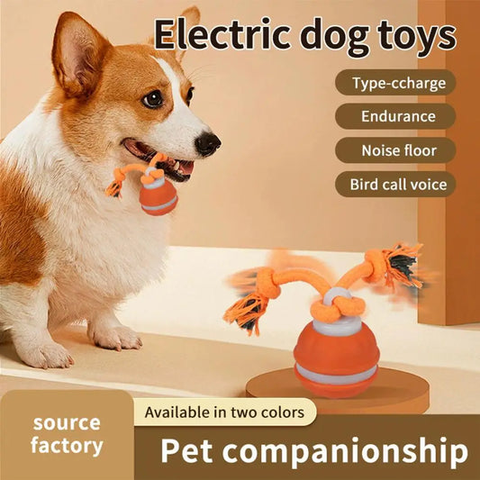 Interactive Motion-Activated Dog & Cat Toy Ball with Rope