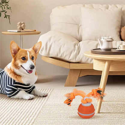 Interactive Motion-Activated Dog & Cat Toy Ball with Rope