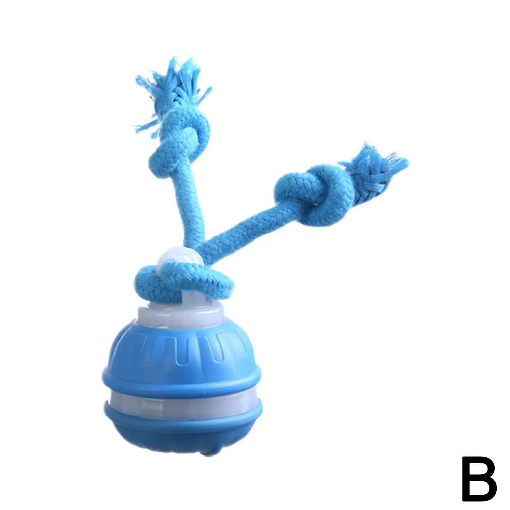 Interactive Motion-Activated Dog & Cat Toy Ball with Rope
