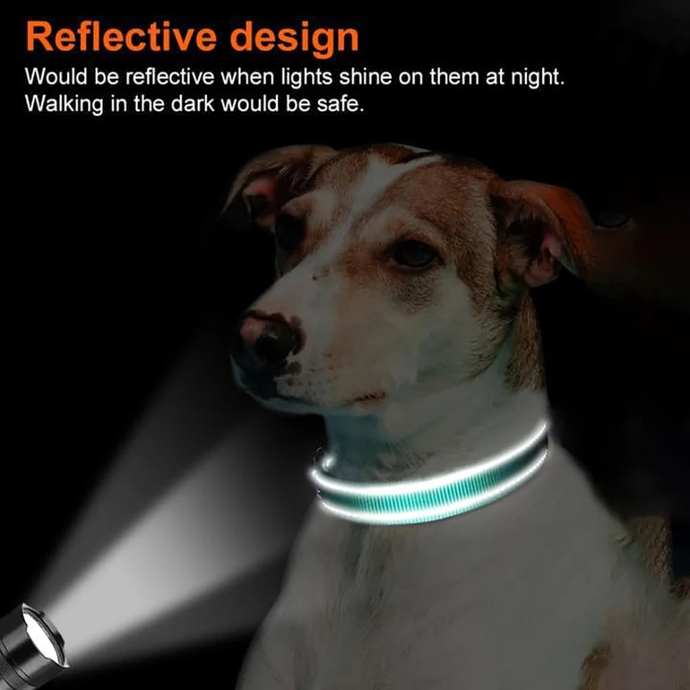 Heavy-Duty Dog Collar with AirTag Holder – Padded & Comfortable Adjustable Collar