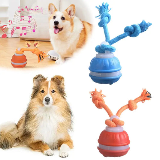 Interactive Motion-Activated Dog & Cat Toy Ball with Rope