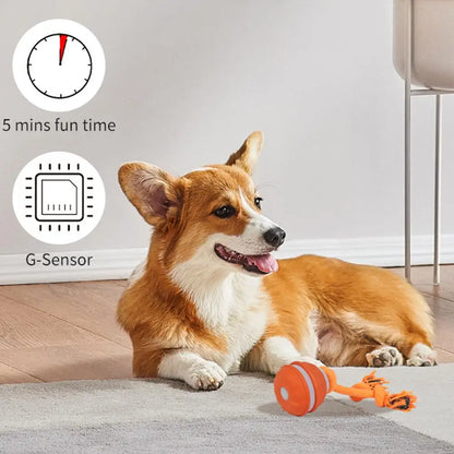 Interactive Motion-Activated Dog & Cat Toy Ball with Rope