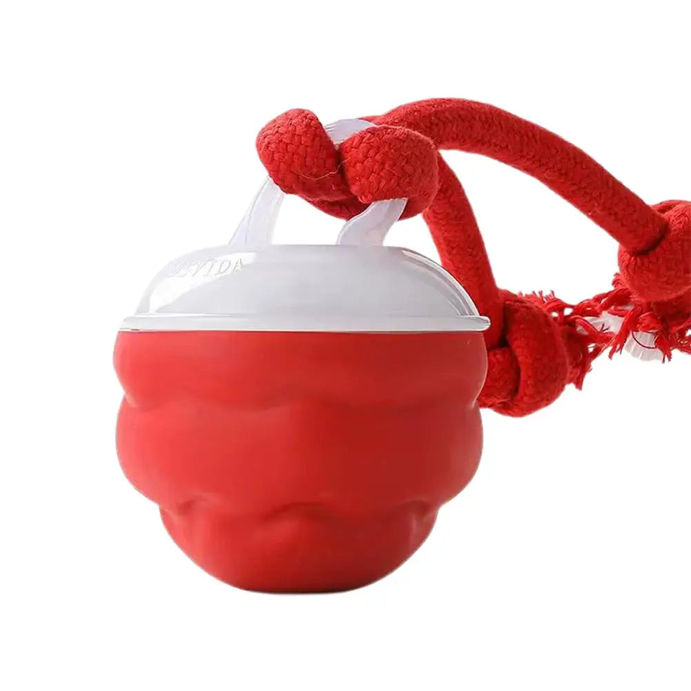 Interactive Motion-Activated Dog & Cat Toy Ball with Rope