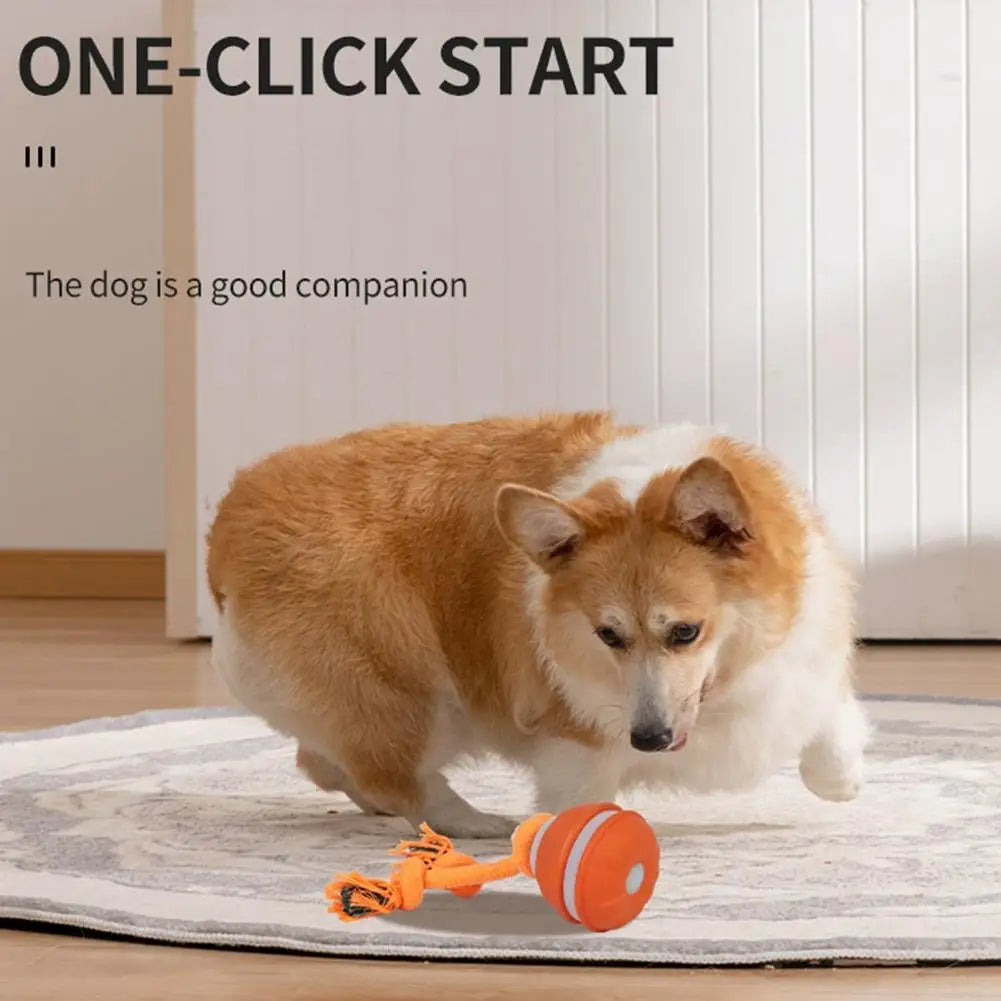 Interactive Motion-Activated Dog & Cat Toy Ball with Rope