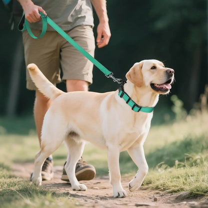 Heavy-Duty Dog Collar with AirTag Holder – Padded & Comfortable Adjustable Collar