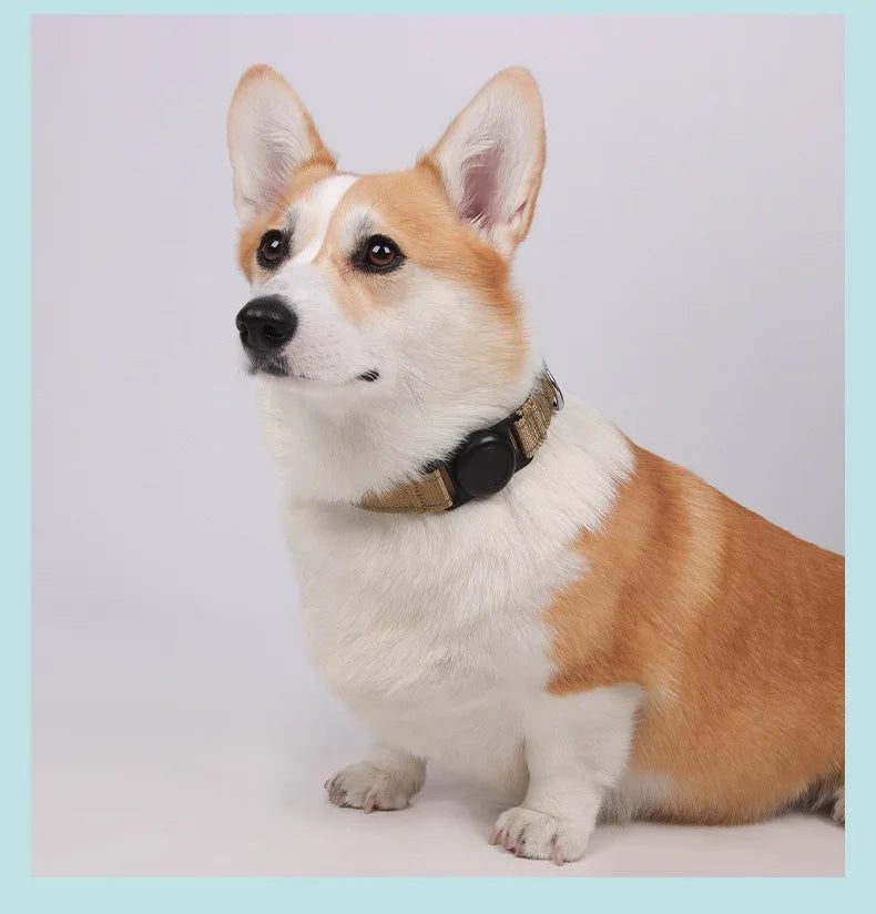 Heavy-Duty Dog Collar with AirTag Holder – Padded & Comfortable Adjustable Collar